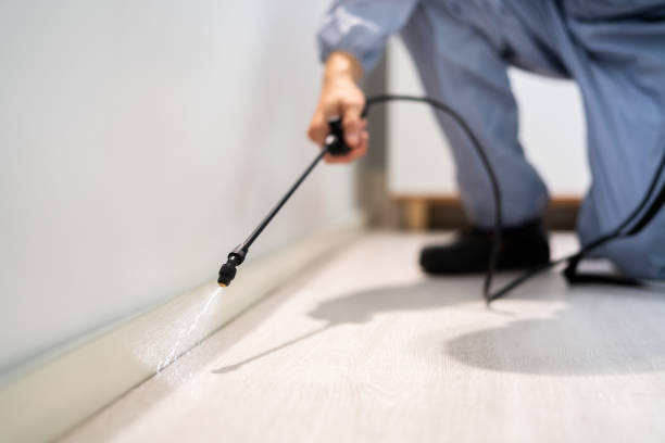Licensed Mosquito Control service in Battle Ground, WA - Show Me Pest Control