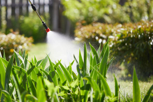 24/7 Emergency Mosquito Control experts in Battle Ground, WA