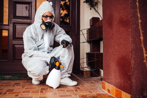 Reliable Mosquito Control contractor in Battle Ground, WA by Show Me Pest Control